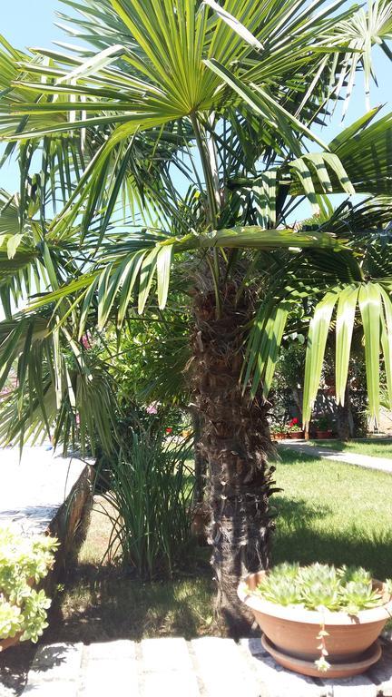Apartment Sandra Rabac Bagian luar foto